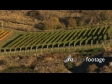 Chard farm vineyard 5 3282
